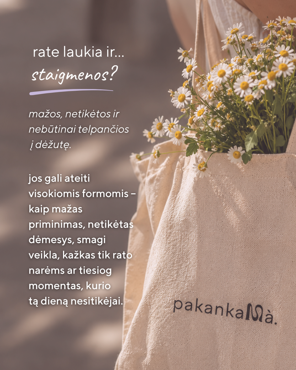 PAKANKAMÀ. RATAS