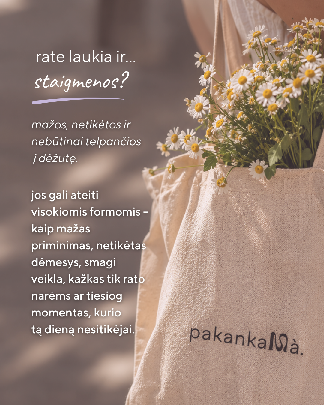 PAKANKAMÀ. RATAS